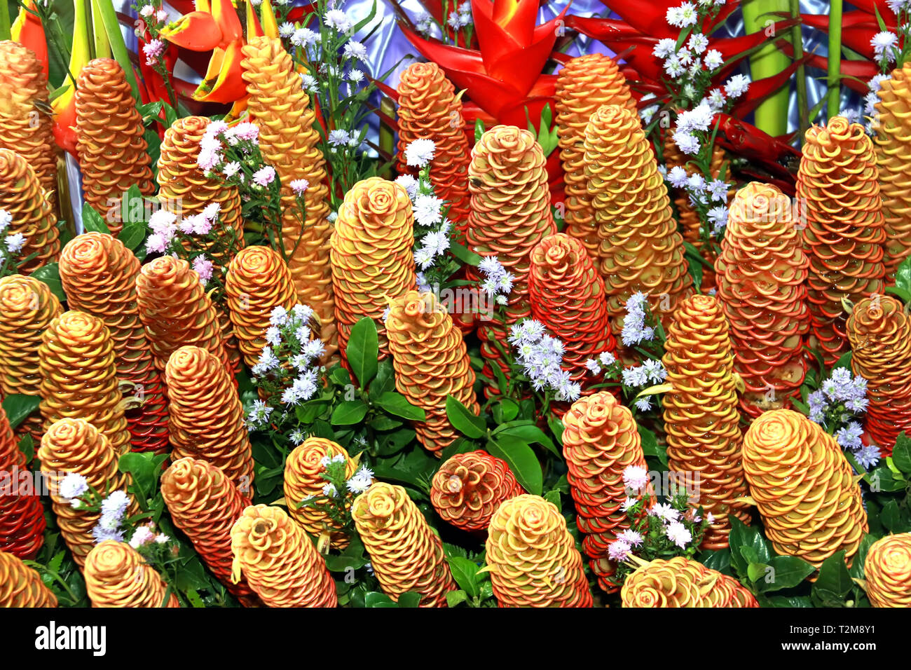 Golden beehive ginger, Zingiber spectabile griff, Beautiful tropical flowers Zingiberaceae Stock Photo
