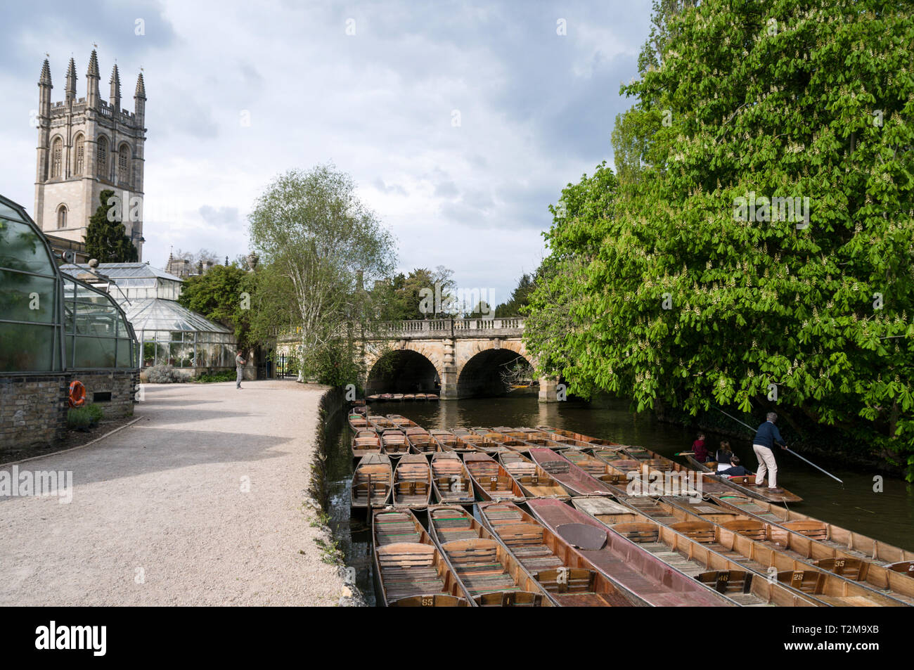 Visitors punting on the River Cherwell near Magdalen college and bell tower and Magdalen bridge in Oxford, Britain Stock Photo