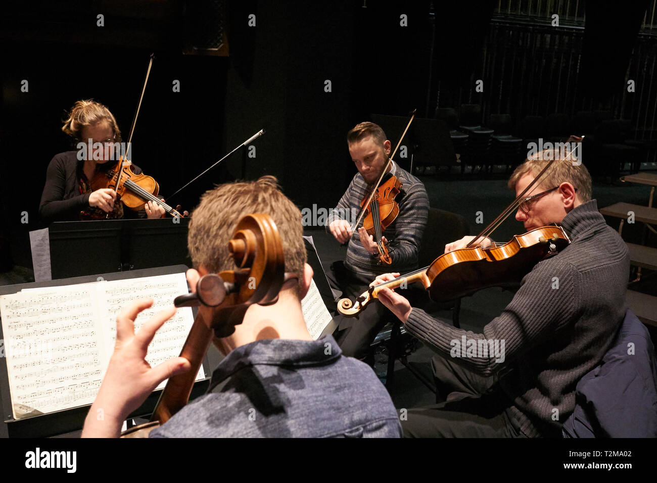 A string quartet in rehearsal, showing two violins, a viola and a cello