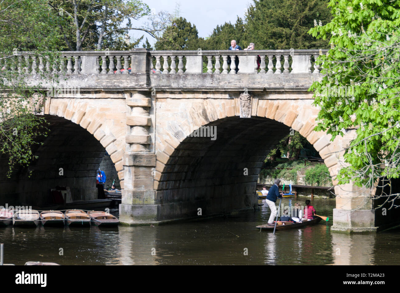 Punting on the River Cherwell approaching Magdalen bridge in Oxford, Britain Stock Photo