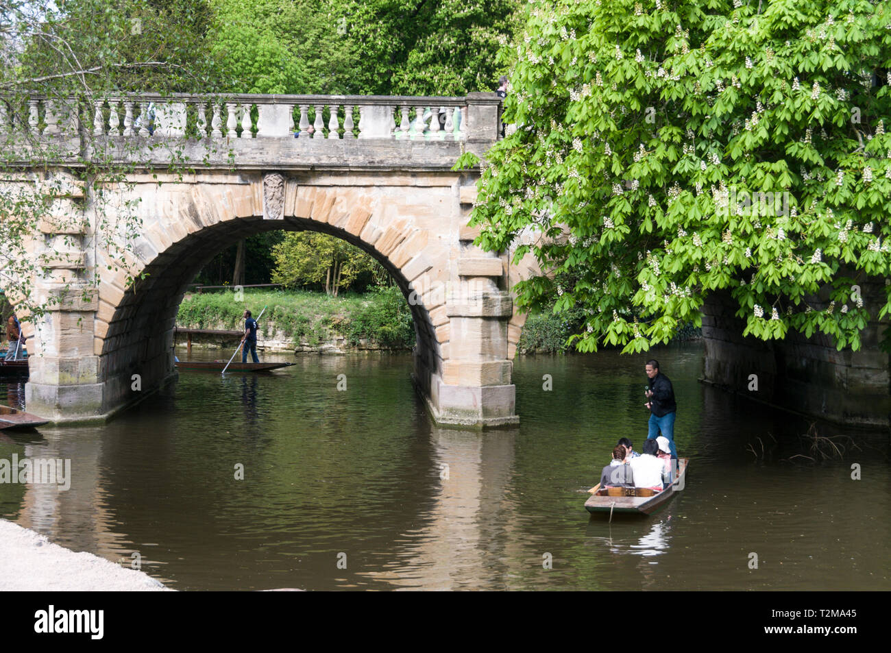 Punting on the River Cherwell near  Magdalen bridge in Oxford, Britain Stock Photo