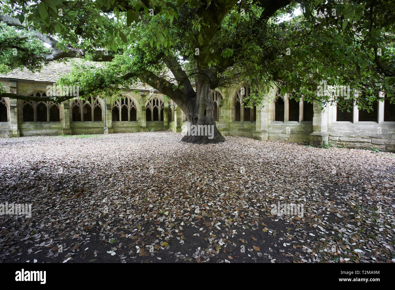 The cloisters at New College, Oxford, UK, one of the locations used in Harry Potter and the Goblet of Fire Stock Photo