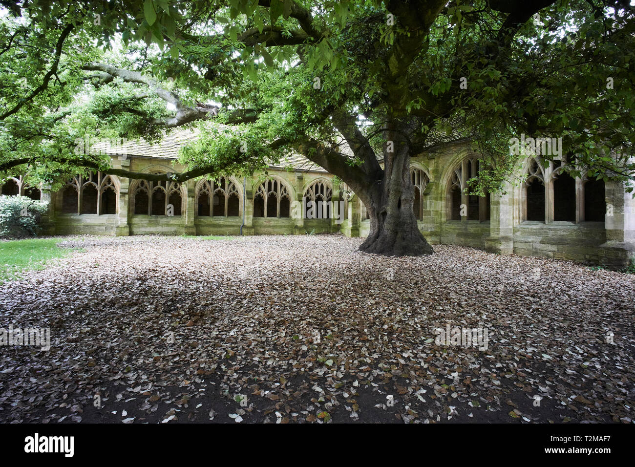 The cloisters at New College, Oxford, UK, one of the locations used in Harry Potter and the Goblet of Fire Stock Photo