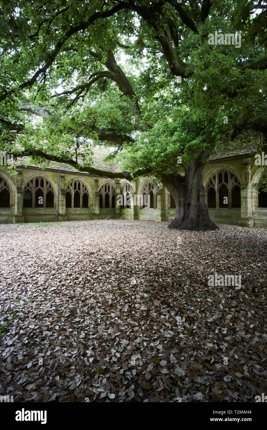 The cloisters at New College, Oxford, UK, one of the locations used in Harry Potter and the Goblet of Fire Stock Photo