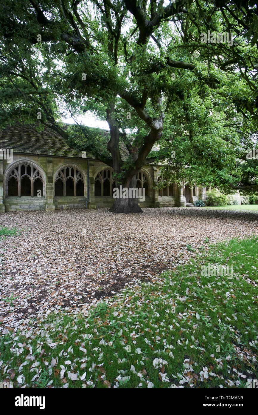 College Garden High Resolution Stock Photography And Images Alamy