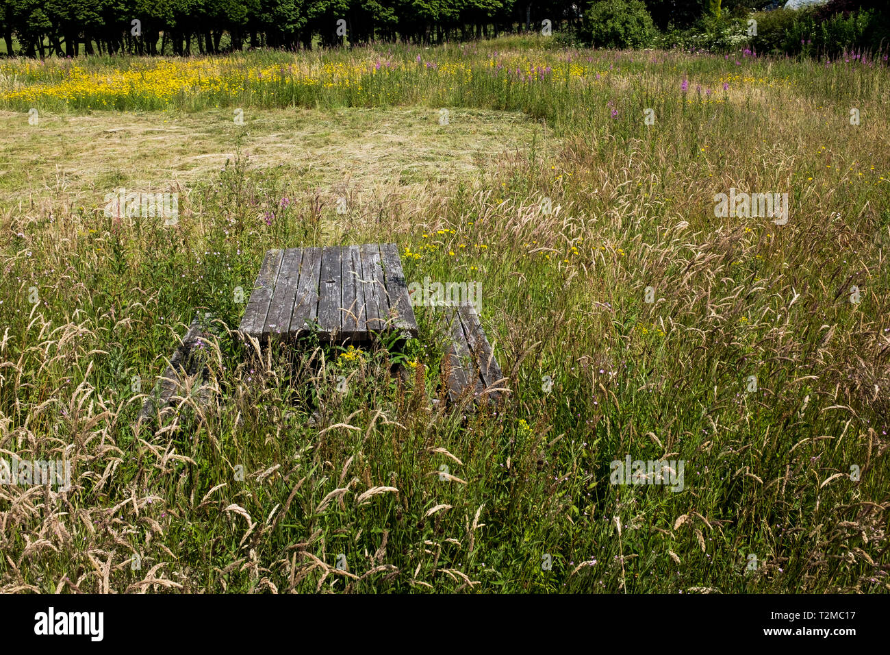 An abandoned picnic table sitting in tall overgrown grasses at the now forgotten and derelict B A club bowling green.Fort William scottish highlands Stock Photo