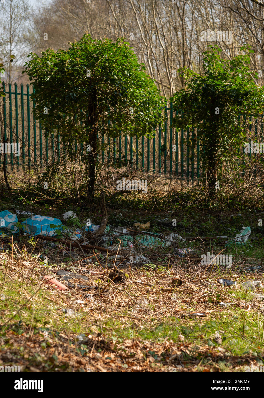 Plastic polution in the forest / Litter missing from the forests in UK Stock Photo