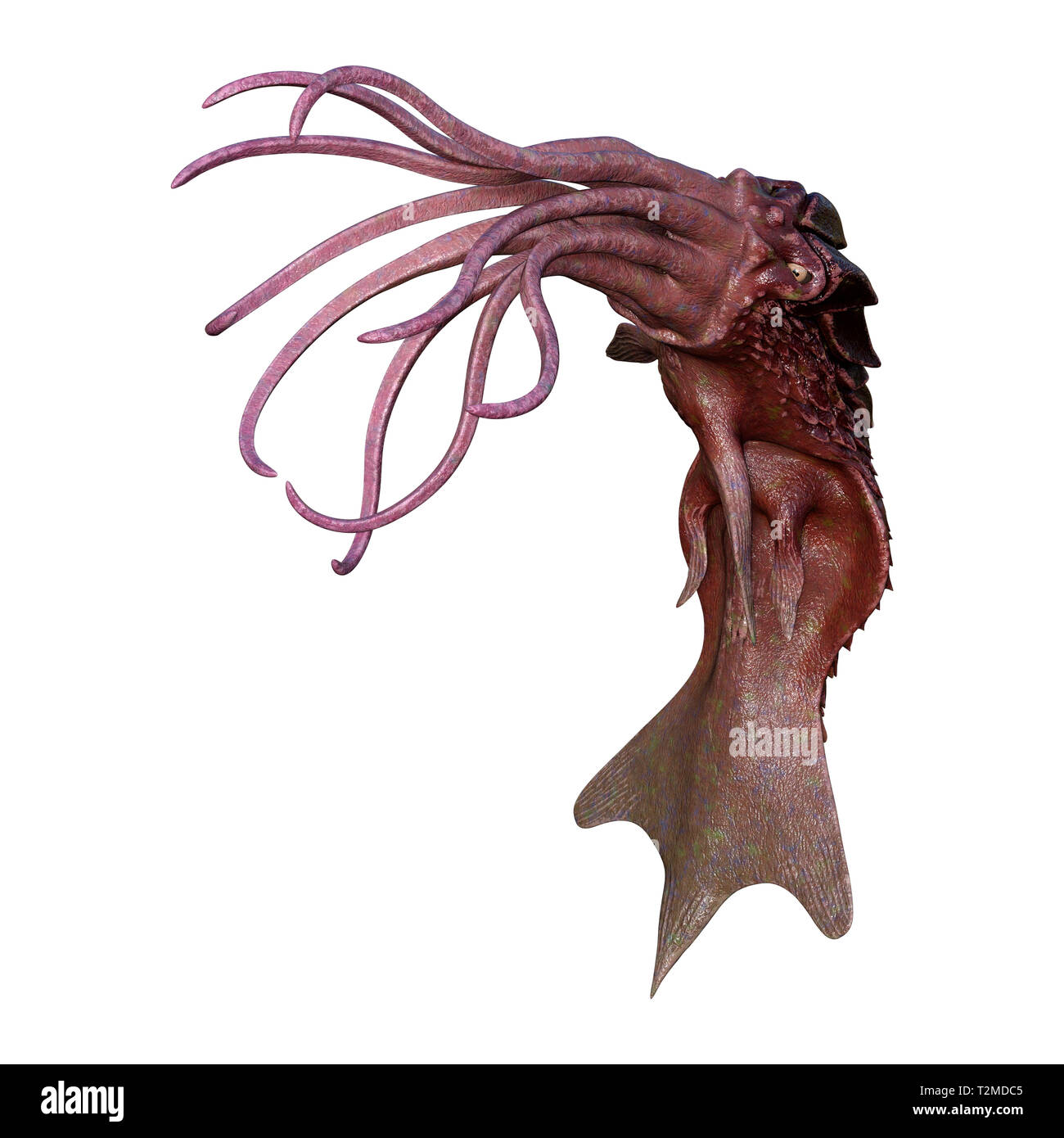 3D rendering of an octopus isolated on white background Stock Photo - Alamy