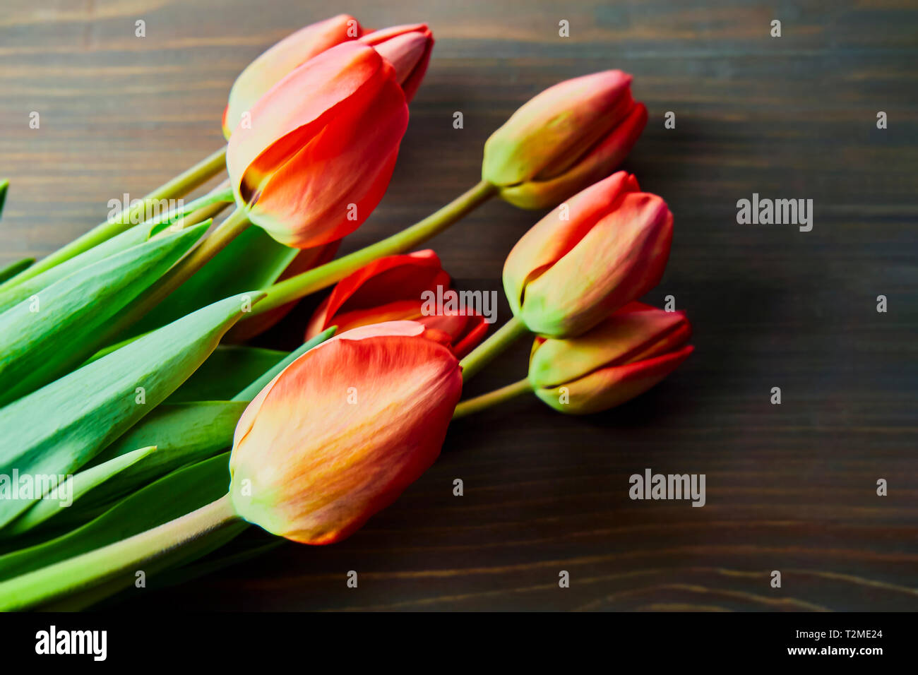Red tulips bouquet hi-res stock photography and images - Alamy