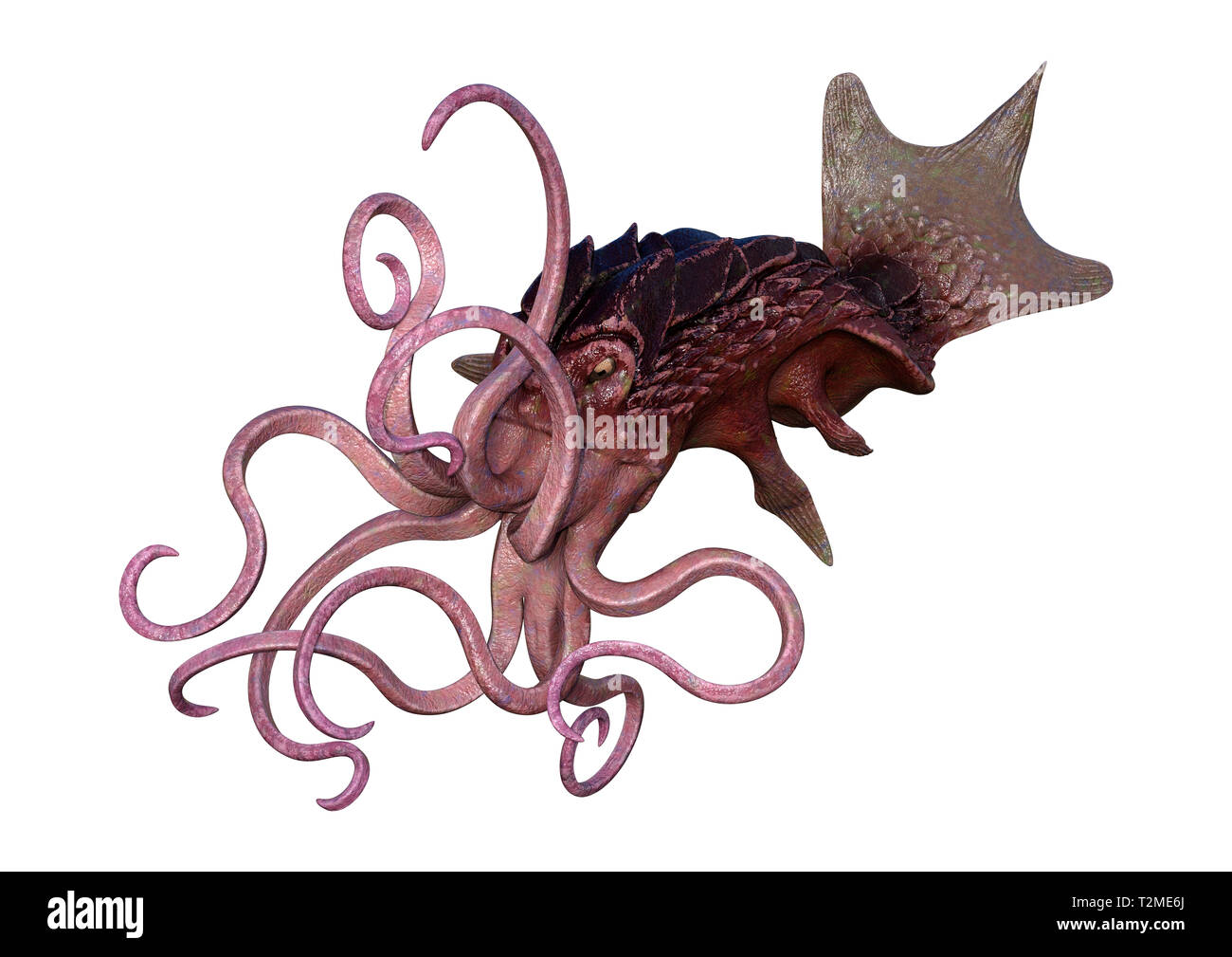 3D rendering of an octopus isolated on white background Stock Photo - Alamy