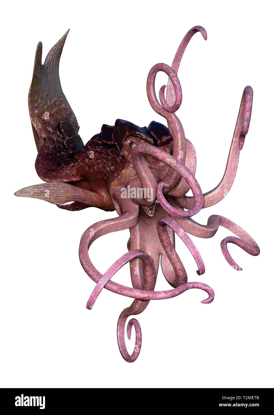 3D rendering of an octopus isolated on white background Stock Photo - Alamy