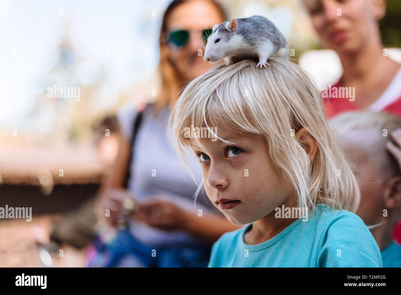 Girl with rat on her head during street art performance Stock Photo - Alamy