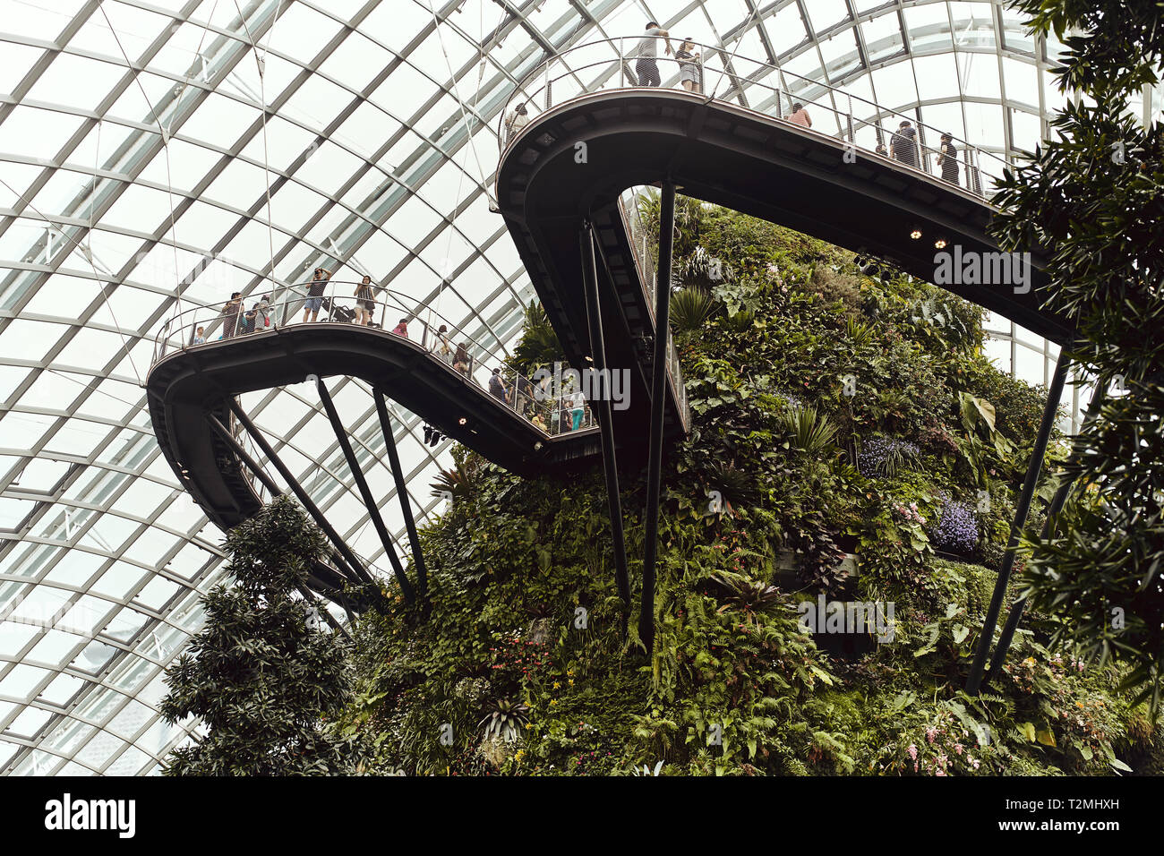 Gardens and architecture inside the Cloud Dome, at Gardens By the Bay