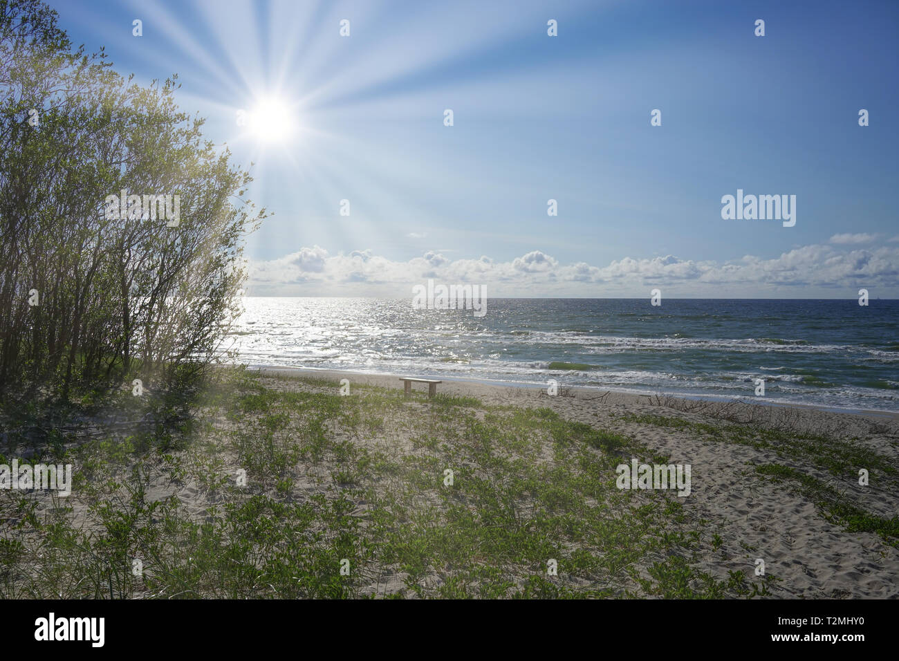 Deserted seascape on the Baltic sea and sand dunes Stock Photo - Alamy