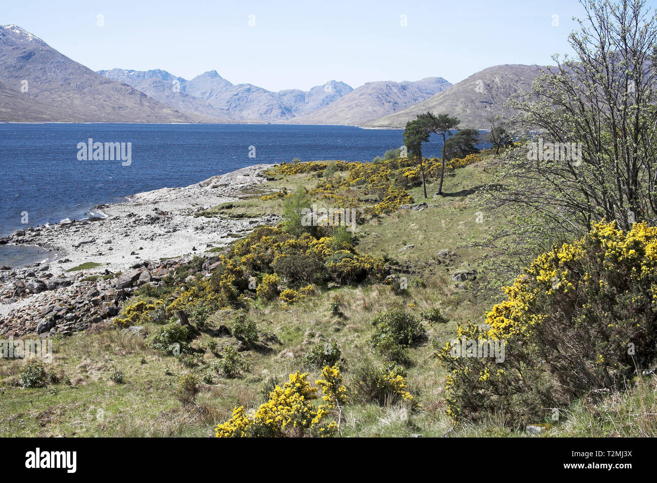 Loch Quoich Glen Garry Highland Region Scotland Stock Photo