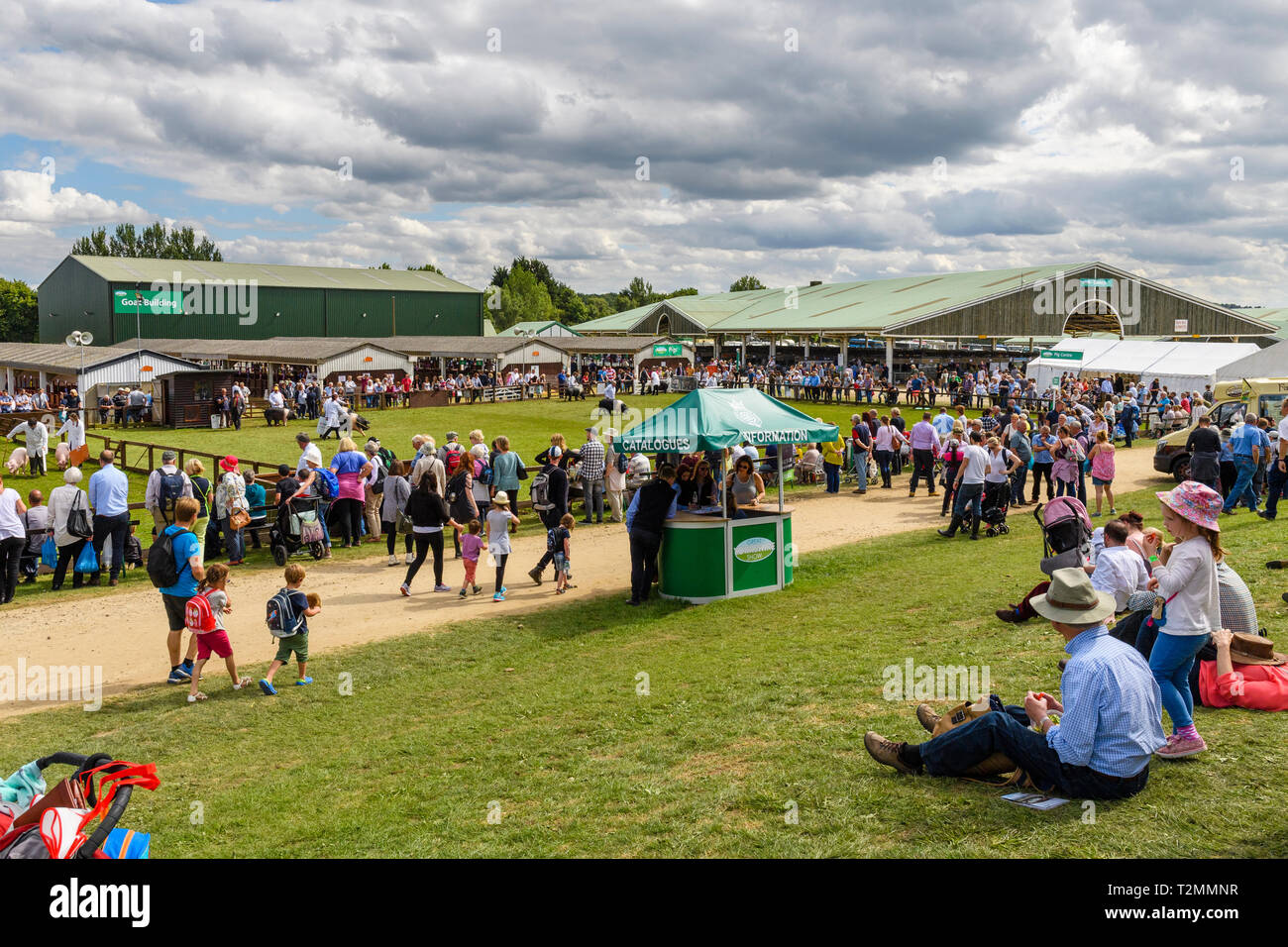 Day out for large crowd of people by showrings, sitting in sun & standing watching pigs in competition - Great Yorkshire Show, Harrogate, England, UK. Stock Photo