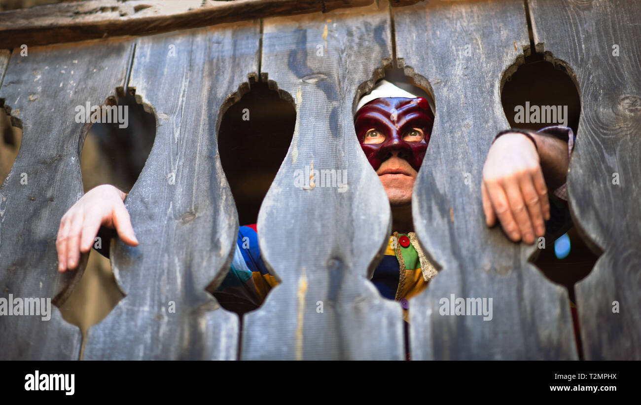 Arlecchino. harlequin carnival costume hi-res stock photography and images  - Alamy