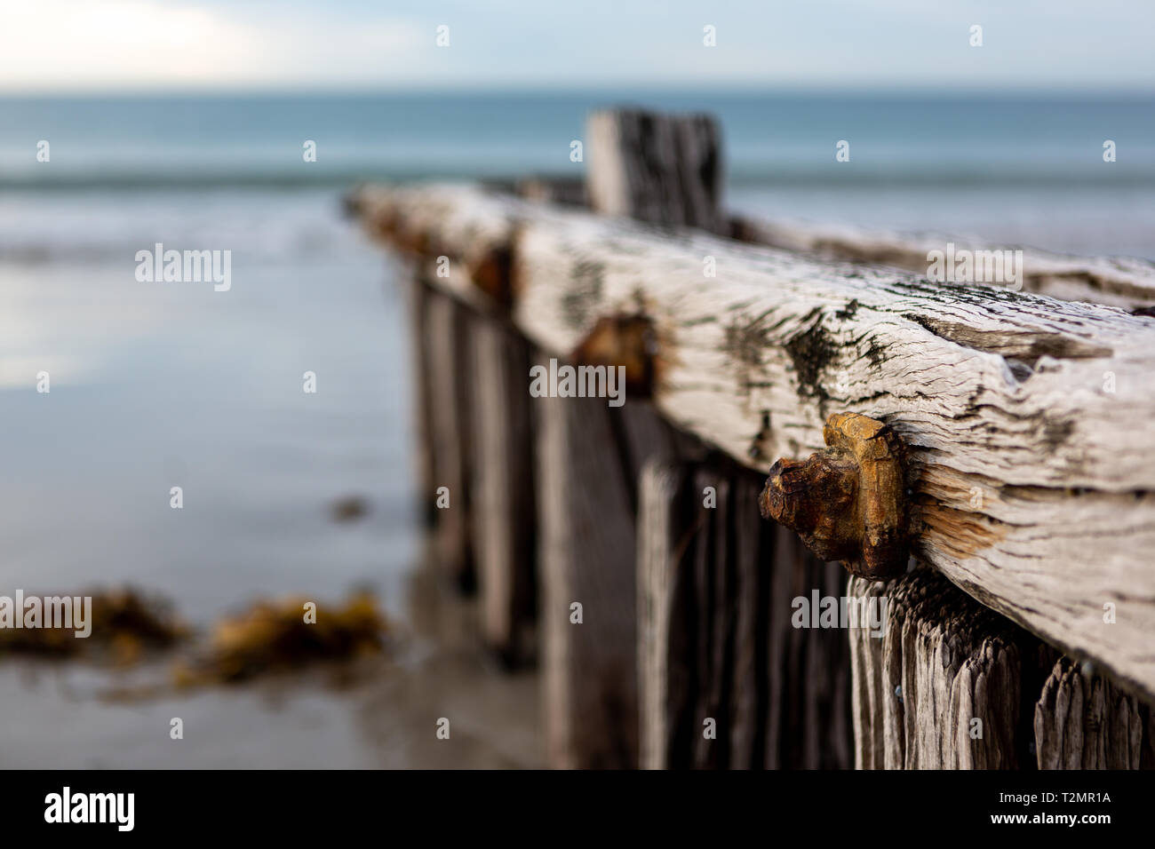 A closeup of The sand erosion groyne located at Victor Harbour on the ...