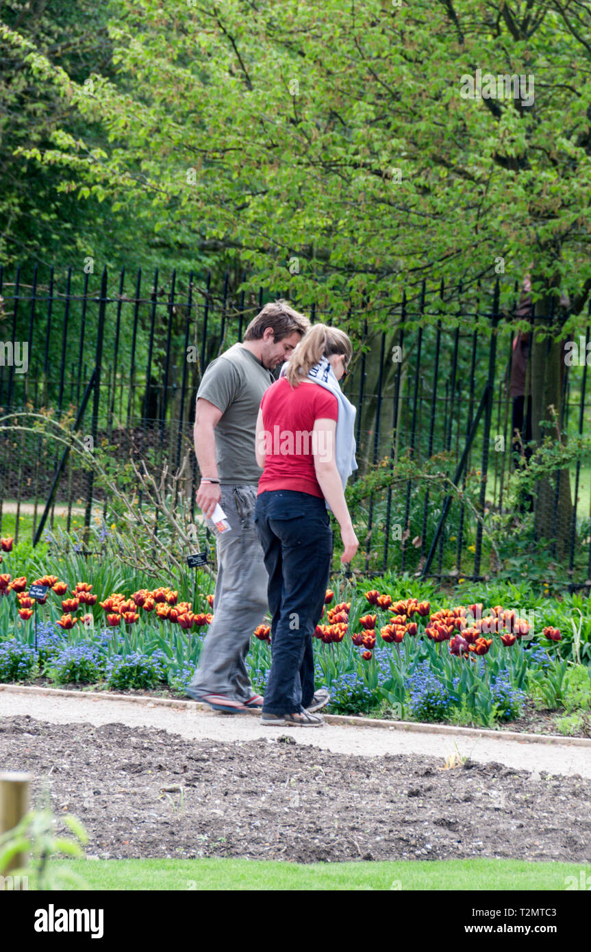 A couple of young visitors admiring the colour of the Tuplpa 'Abu Hassan' in University of Oxford Botanic Garden, Britain's first botanic gardens in O Stock Photo
