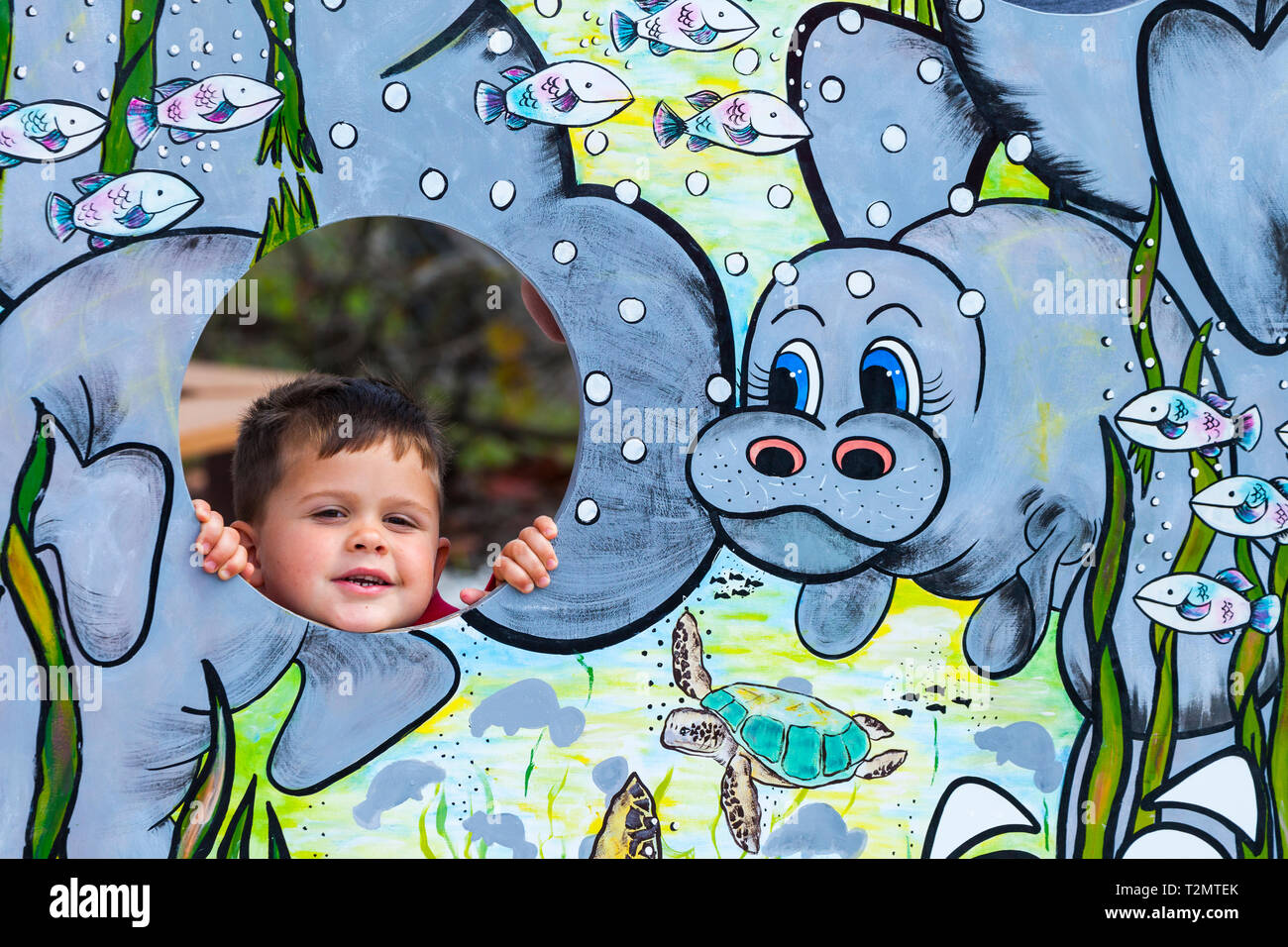 Manatee viewing center hires stock photography and images Alamy