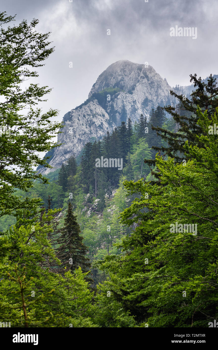 National park Sjeverni Velebit, Croatia Stock Photo Alamy