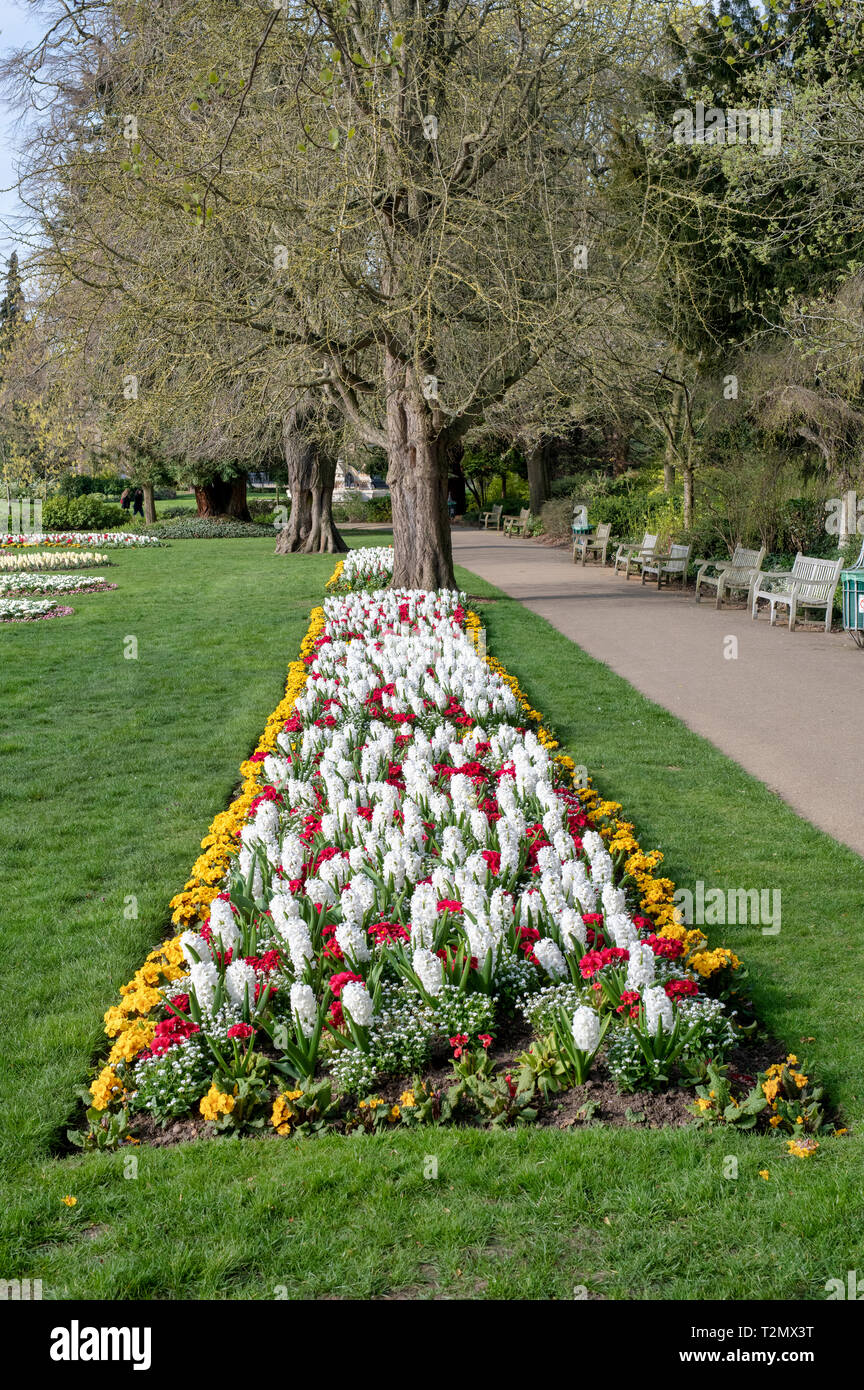 Colourful flower beds in Jephson Gardens in the spring. Leamington Spa, Warwickshire, England Stock Photo