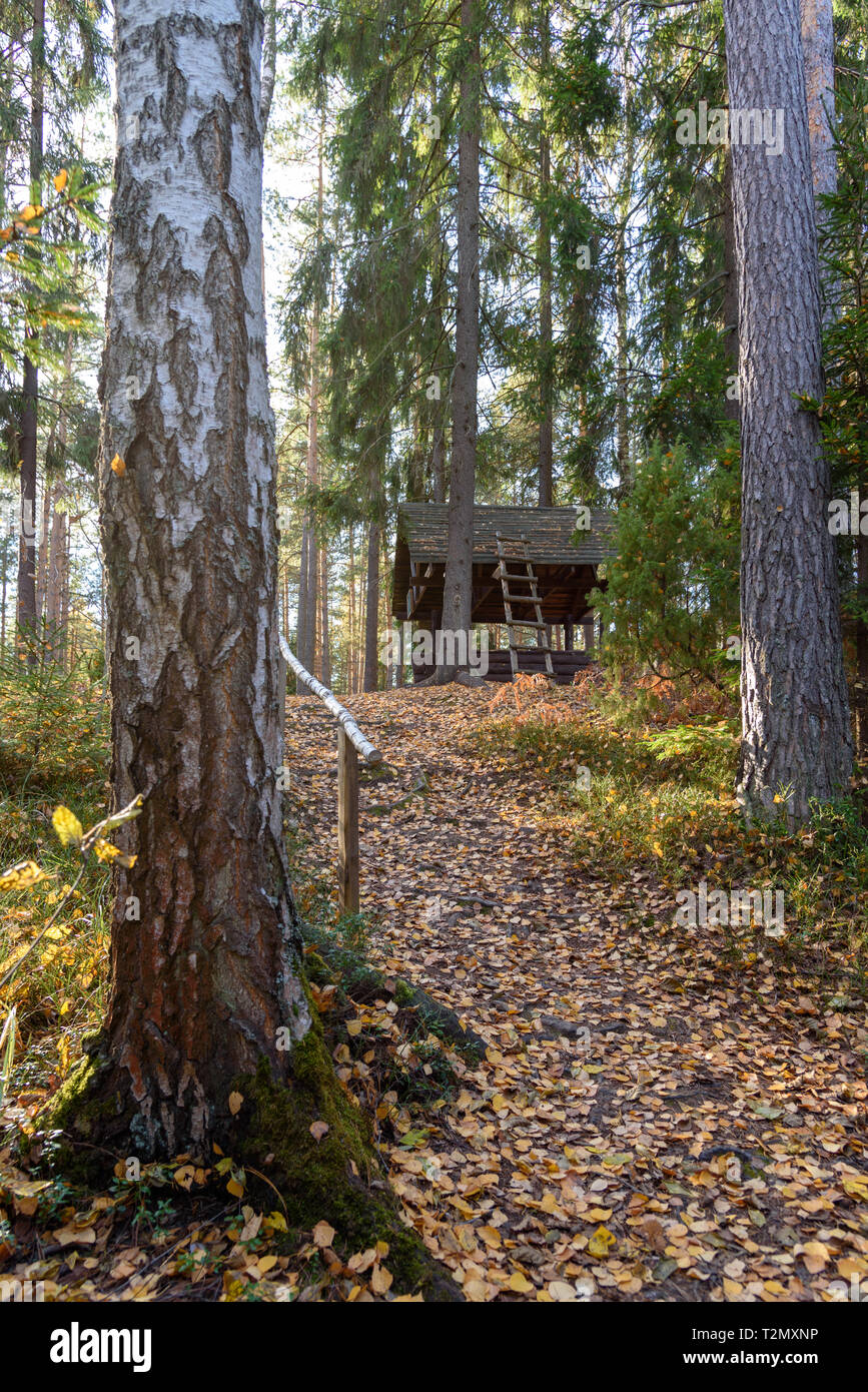 Path leading to the house in the forest through the trees Stock Photo