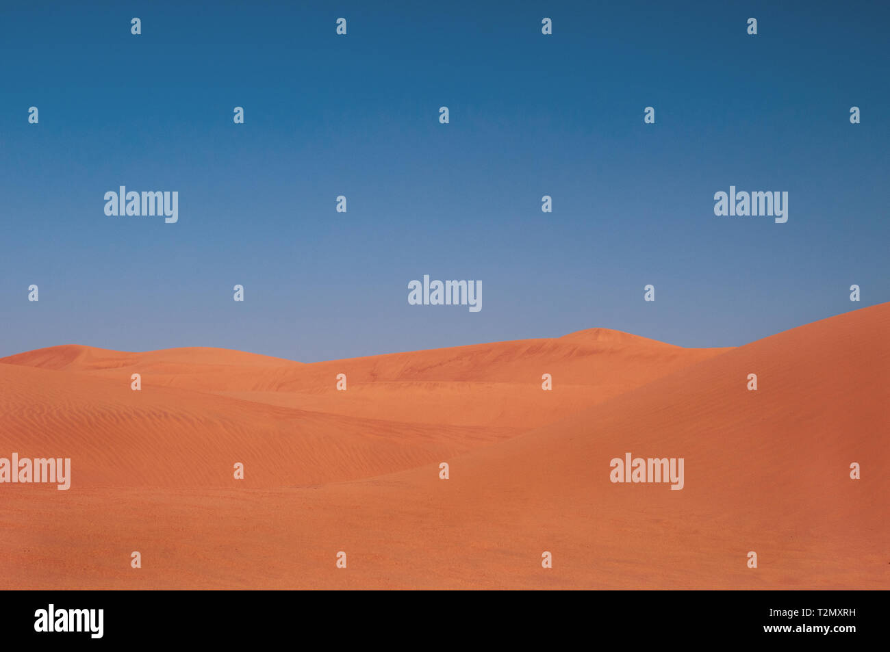 Sand dunes with blue sky in the sahara desert Stock Photo