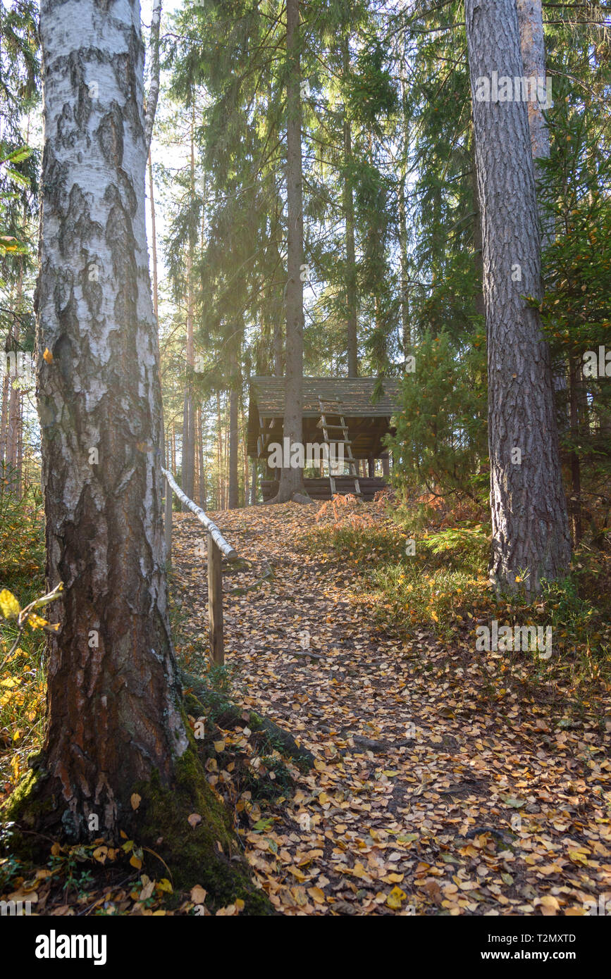 Path leading to the house in the forest through the trees Stock Photo