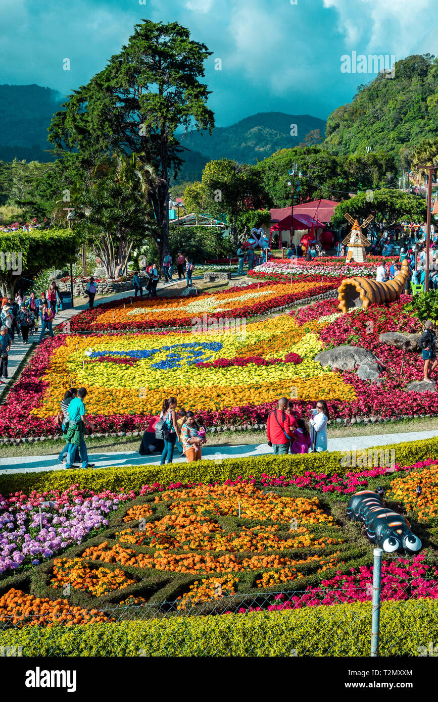 Boquete Chiriqui Panama Flower and coffee Fair Stock Photo Alamy