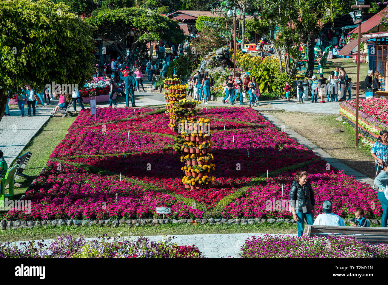 Boquete Chiriqui Panama Flower and coffee Fair Stock Photo - Alamy