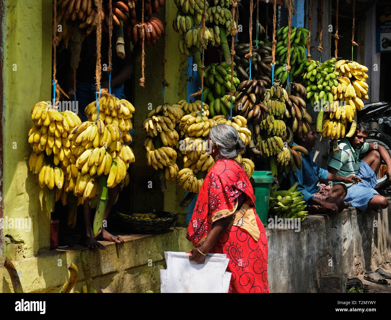 Madurai, India - March 9, 2018: A customer examines the varieties of bananas for sale in the specialist market in the center of the city Stock Photo