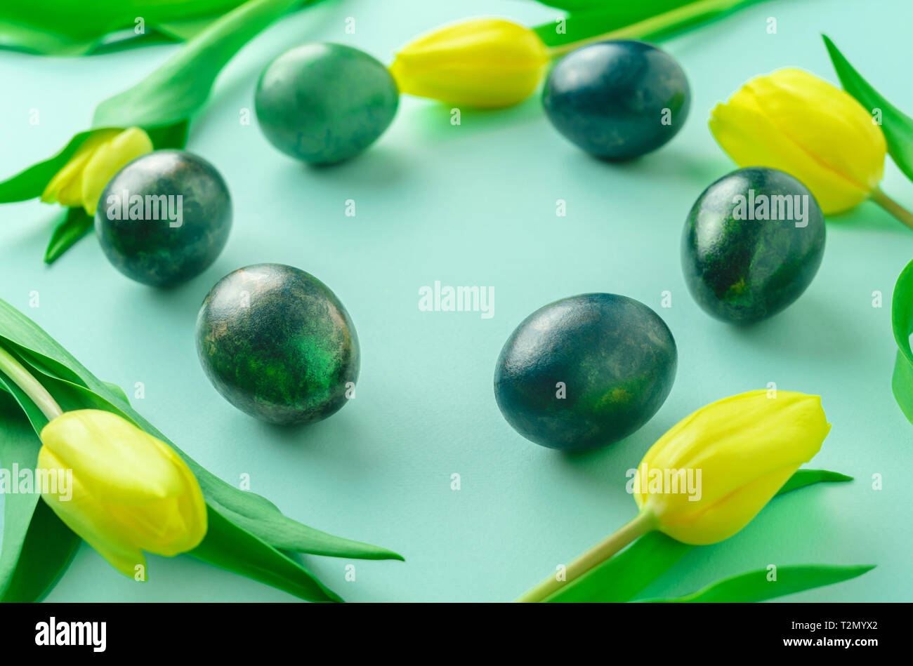 Beautiful spring concept with Easter eggs and yellow tulips in circle ...