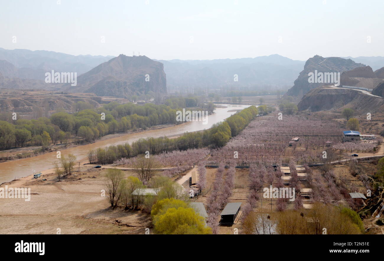 Dongxiang. 3rd Apr, 2019. Aerial photo taken on April 3, 2019 shows apricot trees in full bloom in Tangwang Township of Dongxiang Autonomous County, Linxia Hui Autonomous Prefecture, northwest China's Gansu Province. Credit: Li Xiao/Xinhua/Alamy Live News Stock Photo