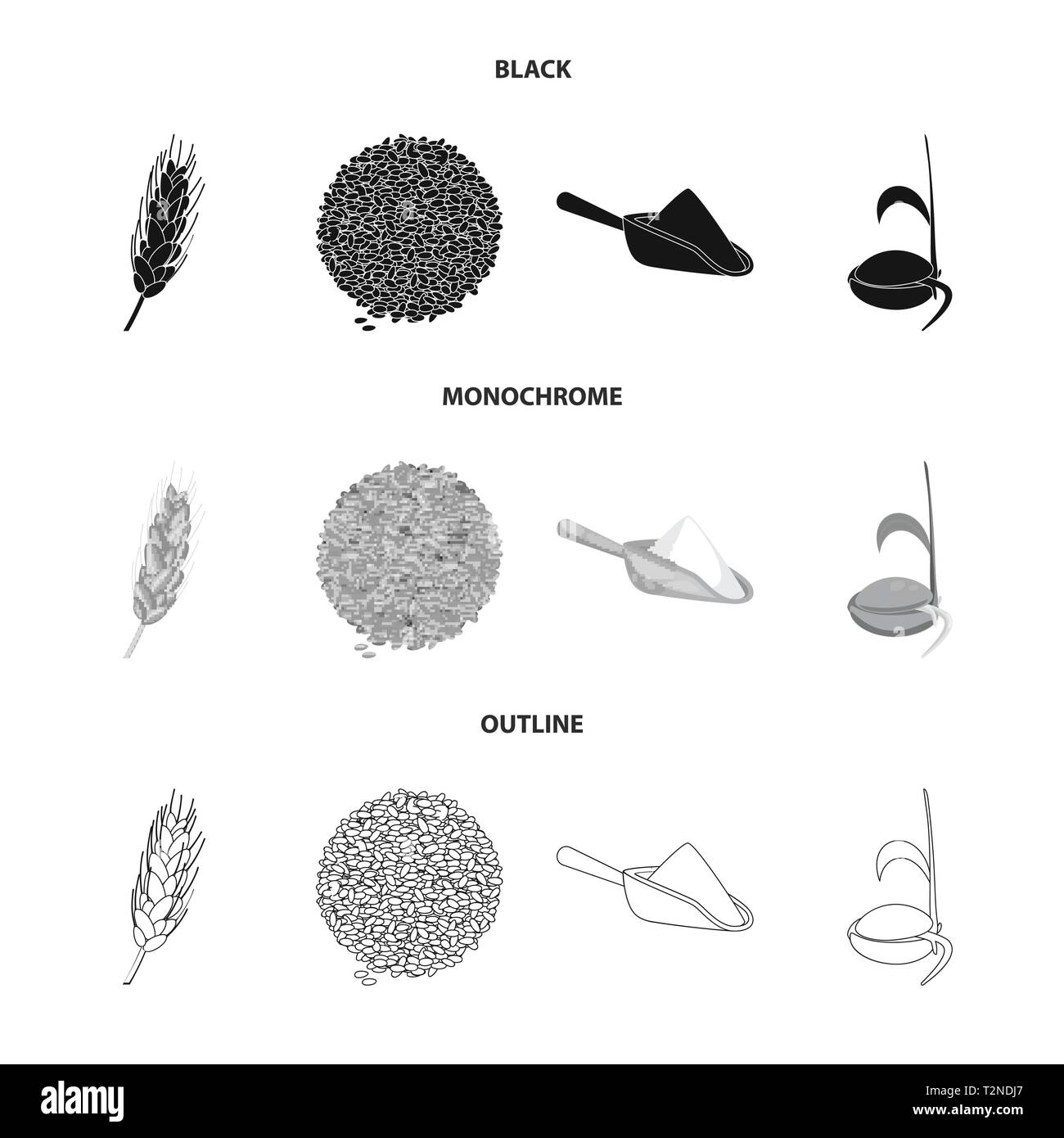 spring,flour,seed,spike,seeds,meal,grow,durum,crop,scoop,root,bread ...