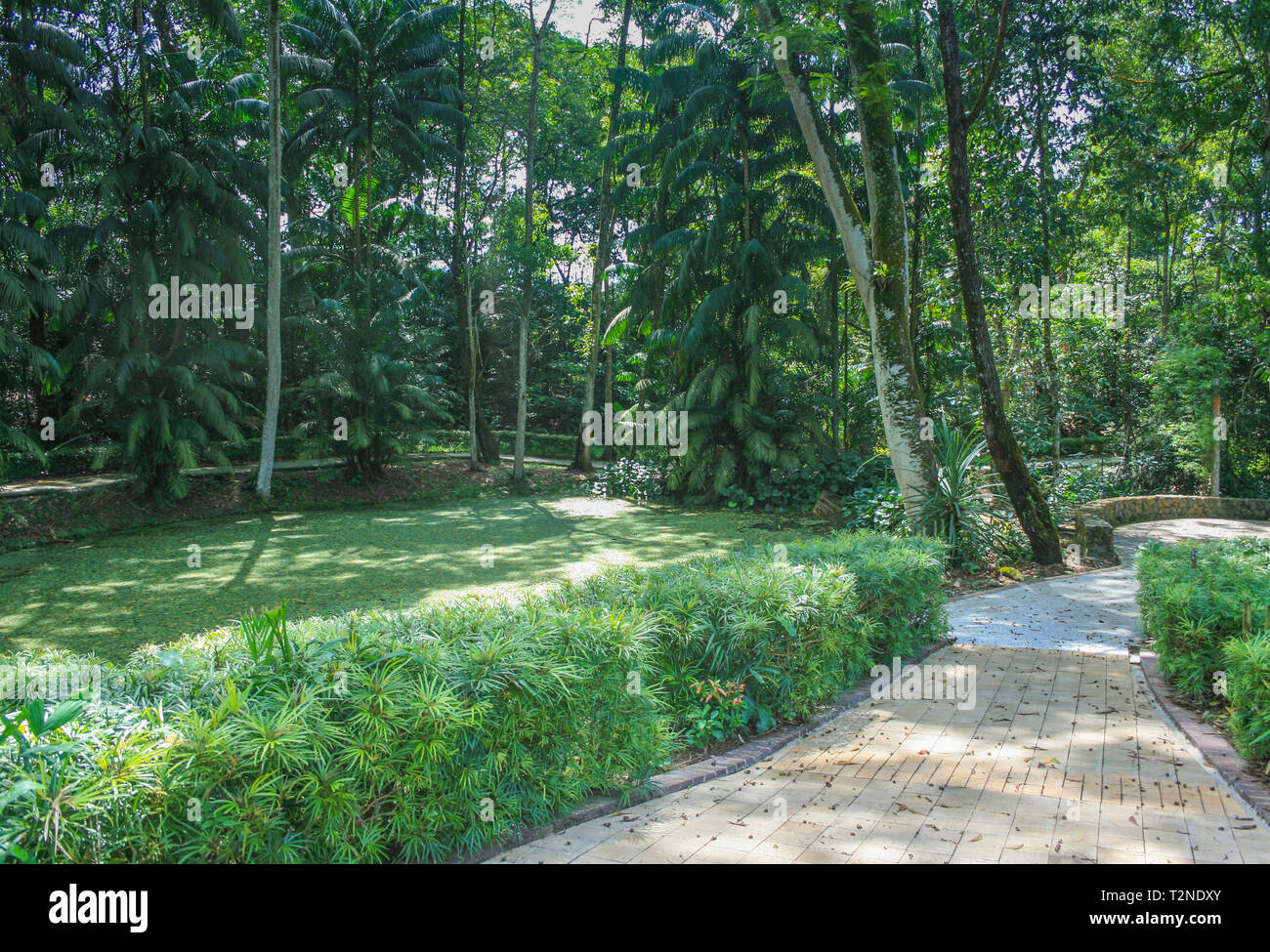 Taman Orkid High Resolution Stock Photography and Images - Alamy