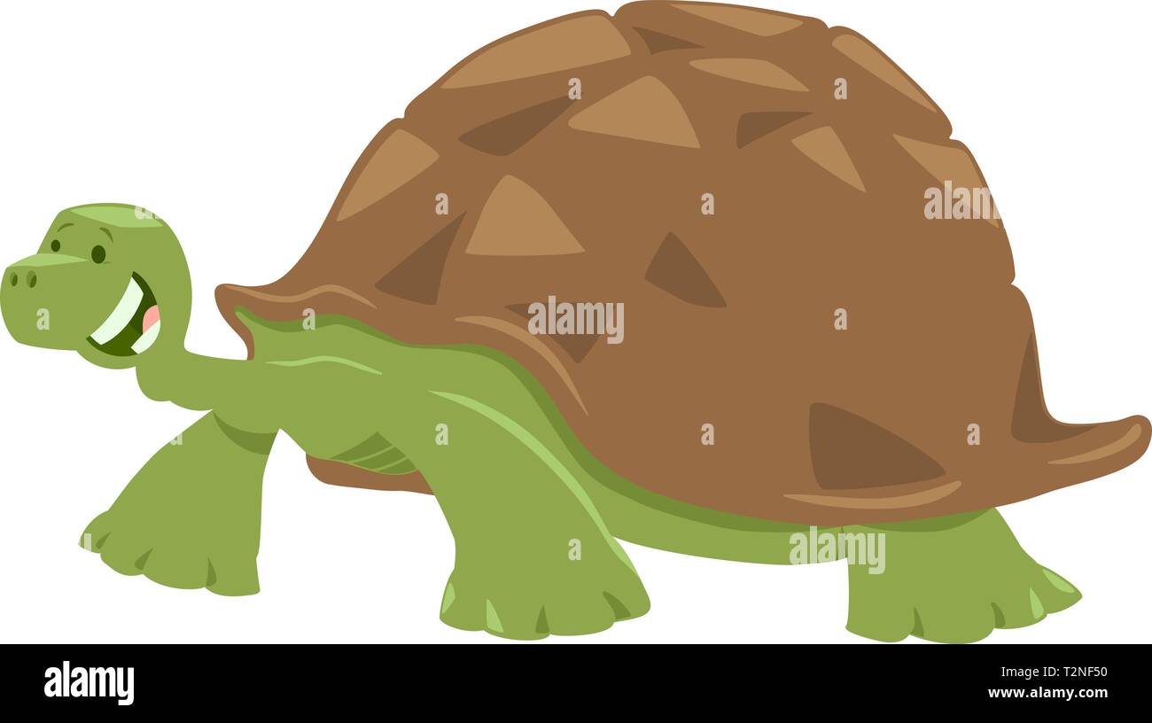 Cartoon Illustration of Funny Turtle or Tortoise Animal Character Stock Vector