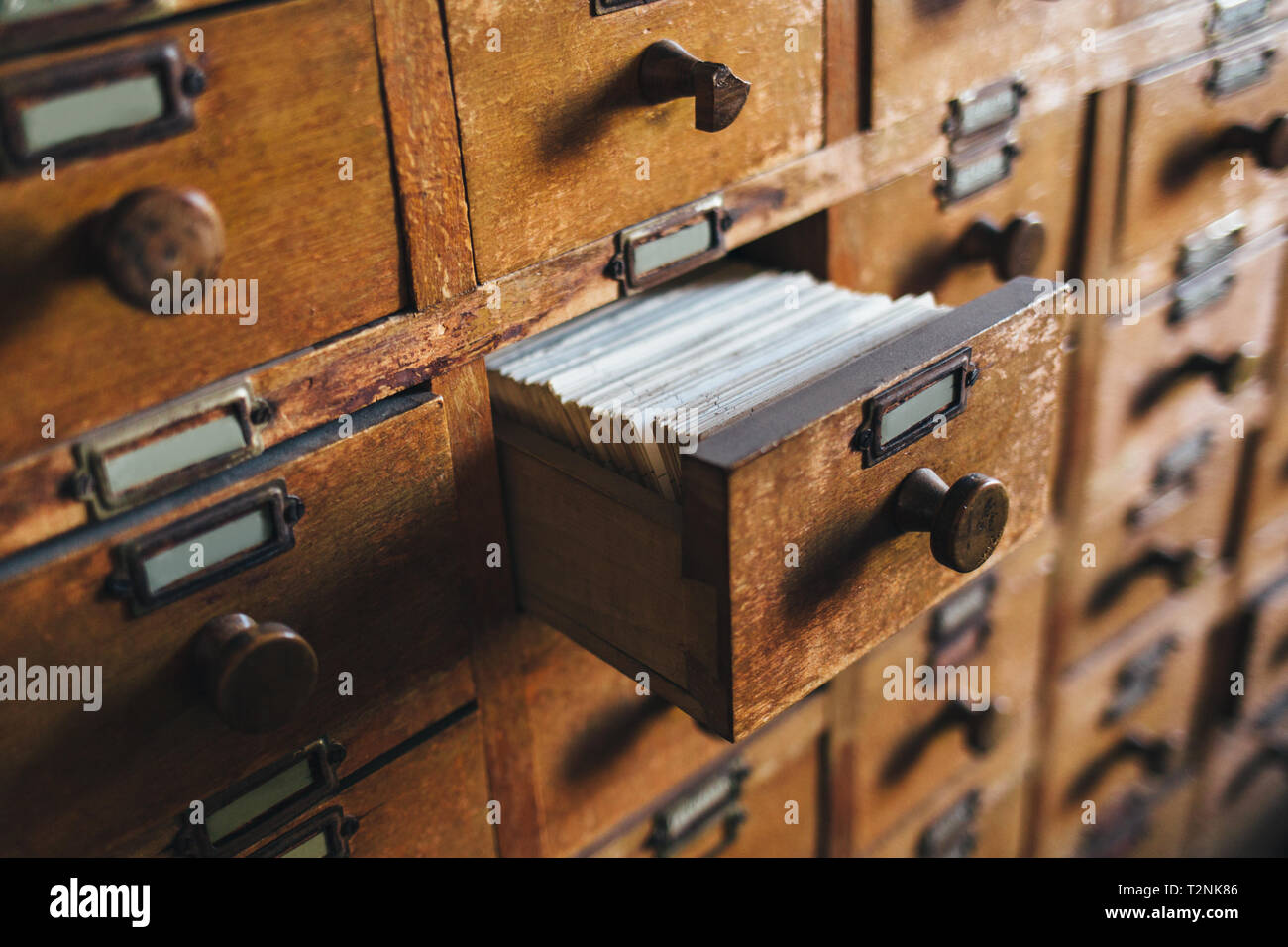 File catalog box. Concept for database, archive, library Stock Photo