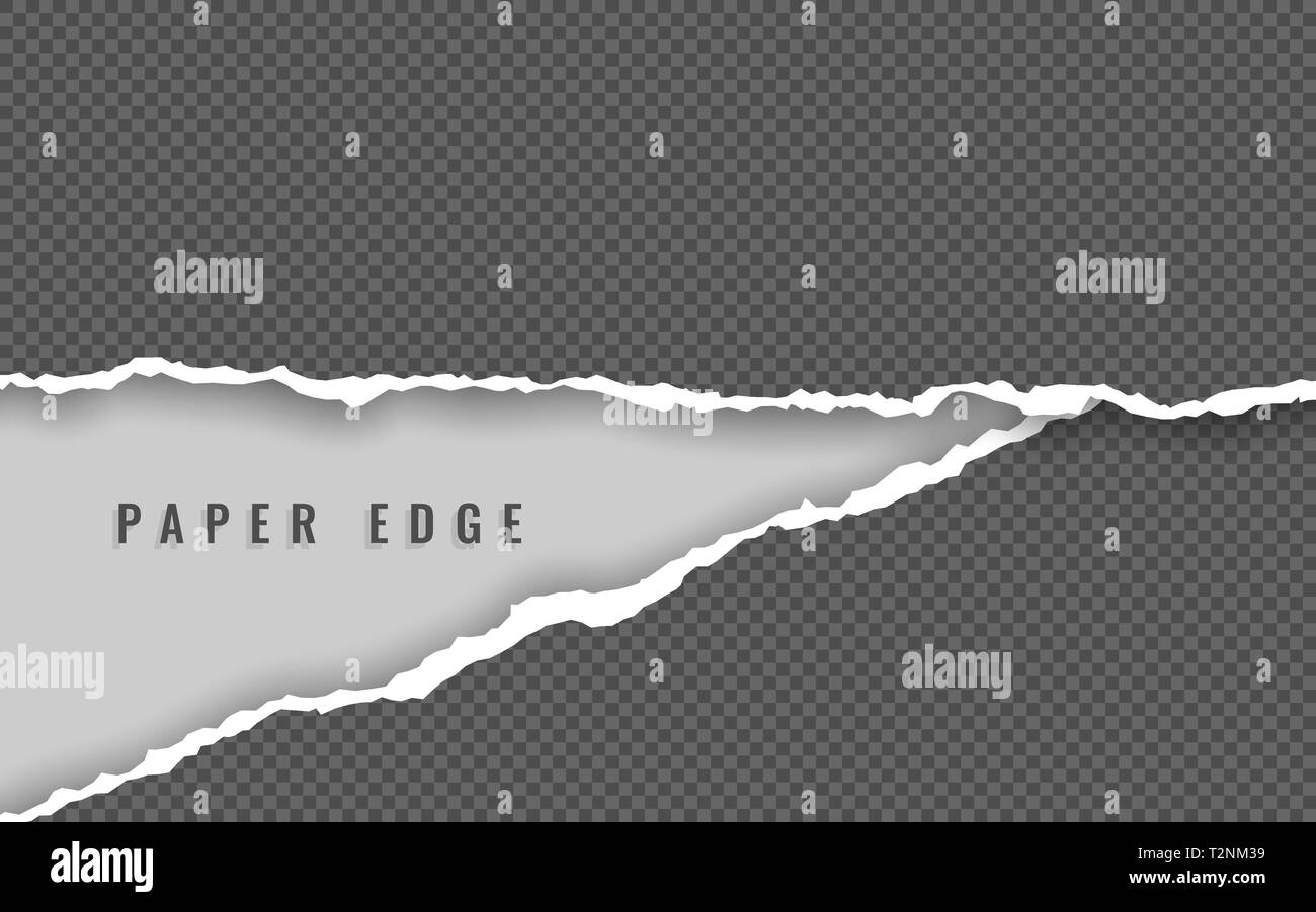 Torn paper edge. Torn paper stripes. Ripped squared horizontal paper