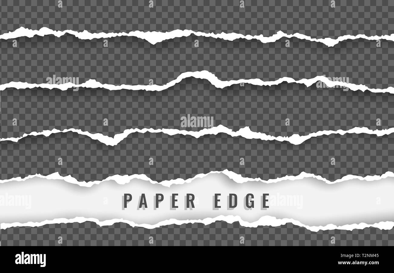 Torn paper edge. Torn paper stripes. Ripped squared horizontal paper
