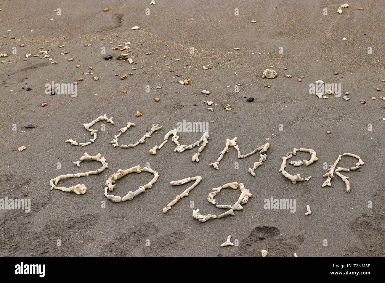 The inscription on the sand laid out of corals, Summer 2019 travel concept, With copy space for text Stock Photo