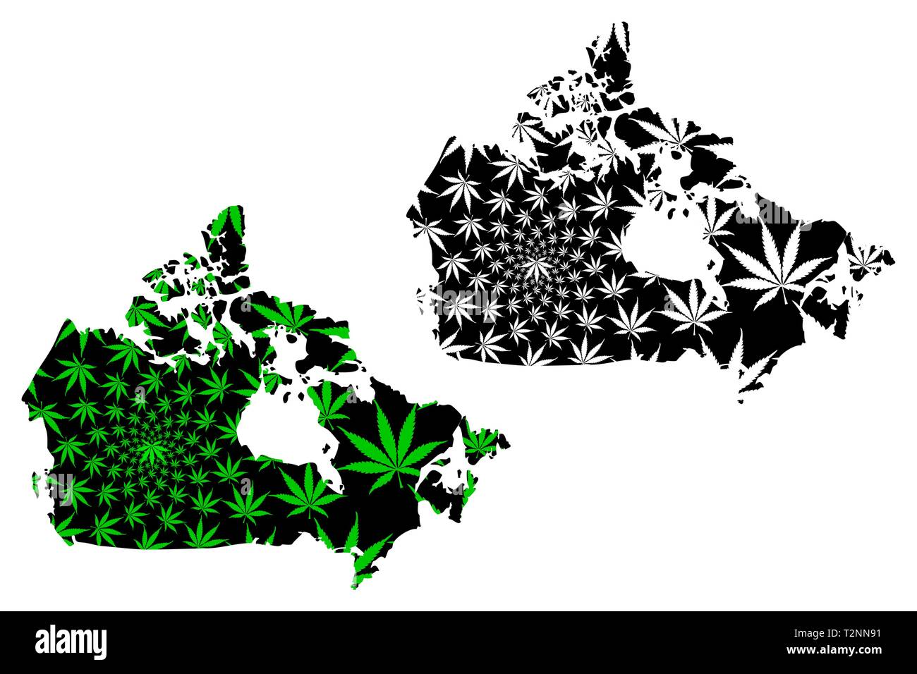 Canada - map is designed cannabis leaf green and black, Canada map made of marijuana (marihuana,THC) foliage, Stock Vector