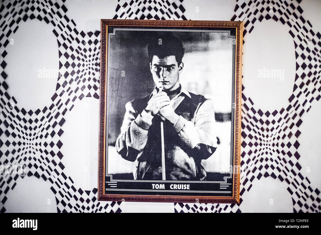 A black and white photograph of a young Tom Cruise, hangs against 70s style psychedelic wallpaper. Stock Photo