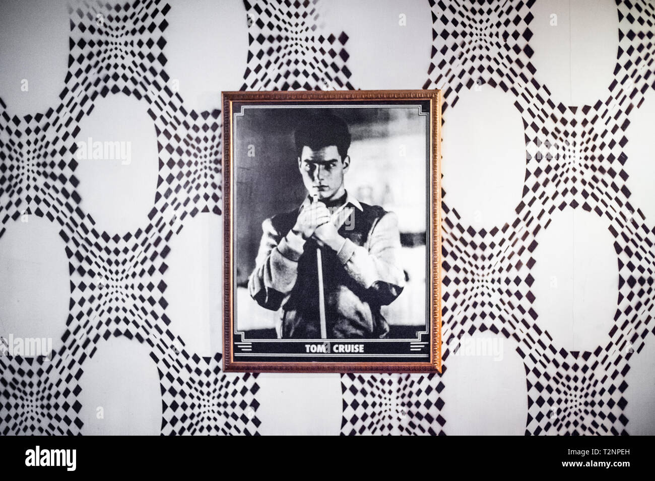 A black and white photograph of a young Tom Cruise, hangs against 70s style psychedelic wallpaper. Stock Photo
