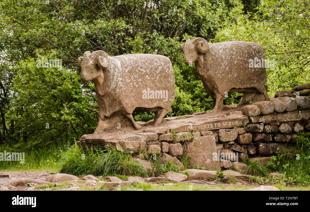 Keith alexander hires stock photography and images Alamy