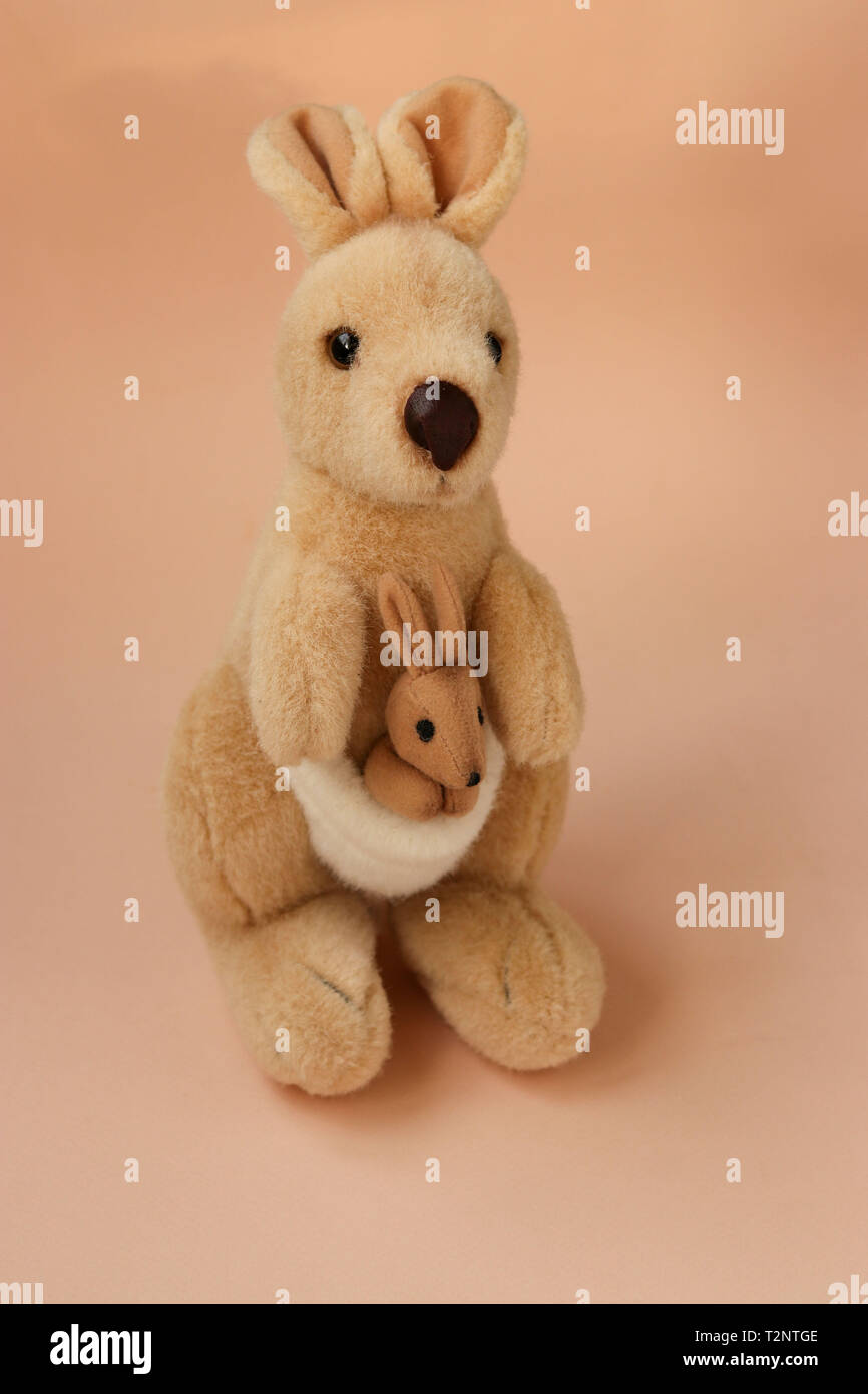 kangaroo cuddly toy