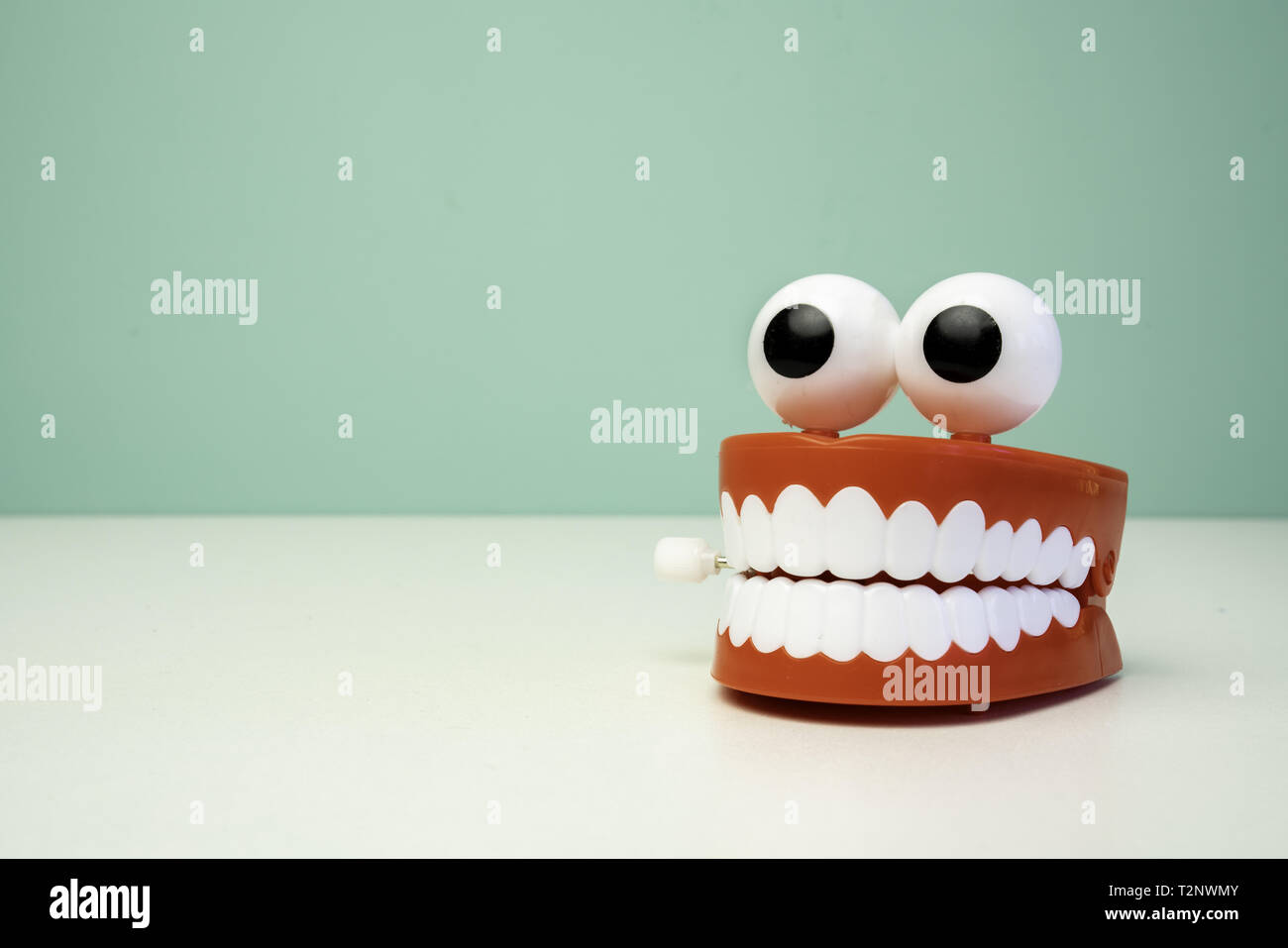 chattering teeth toy on a table with a green background. Jaw funny teeth  Stock Photo - Alamy