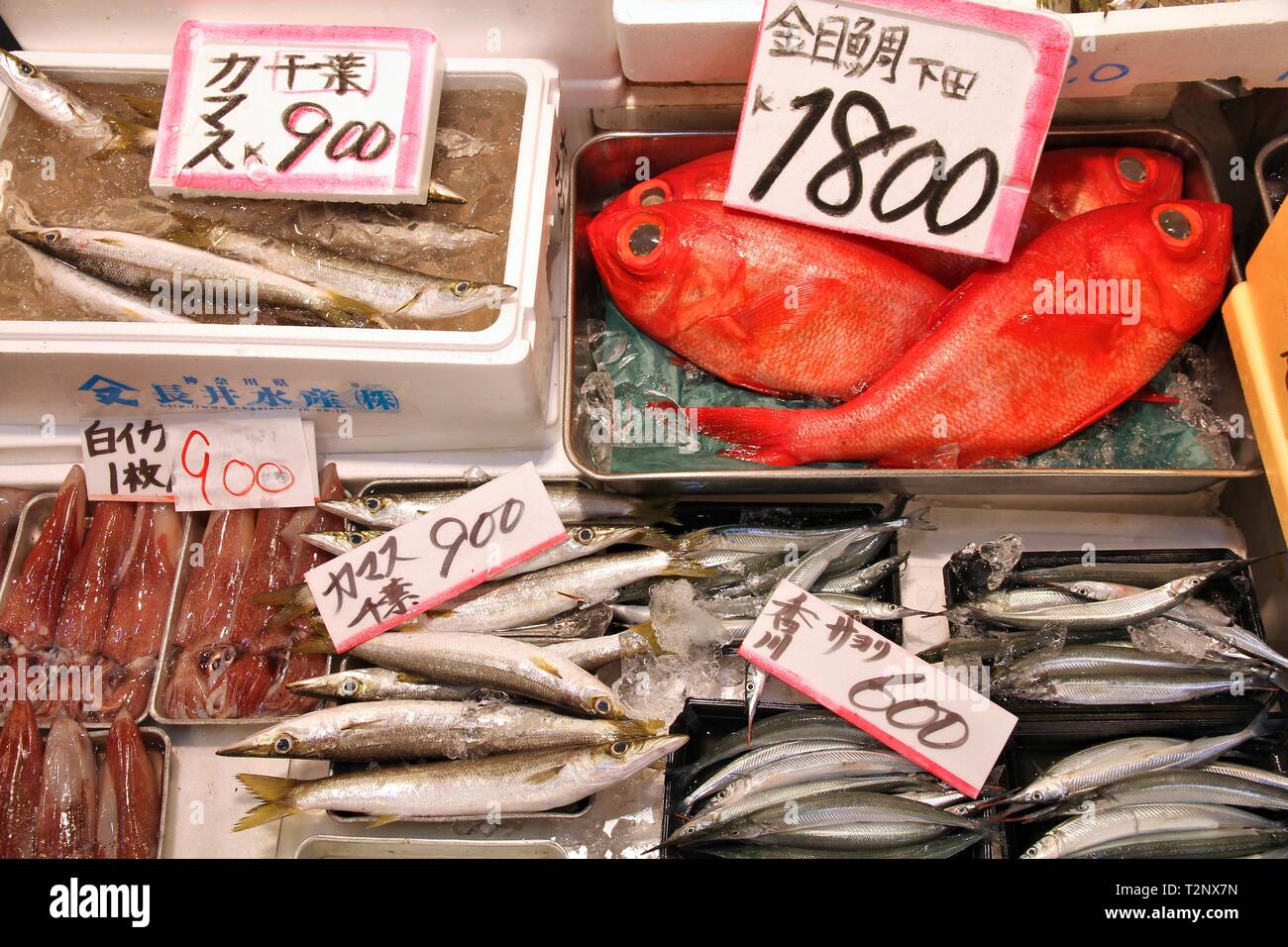 Seafood choice at famous Tsukiji Fish Market in Tokyo, Japan. Barracuda (kinmedai), splendid alfonsino, swordtip squid (shiroika), sayori (needlefish) Stock Photo