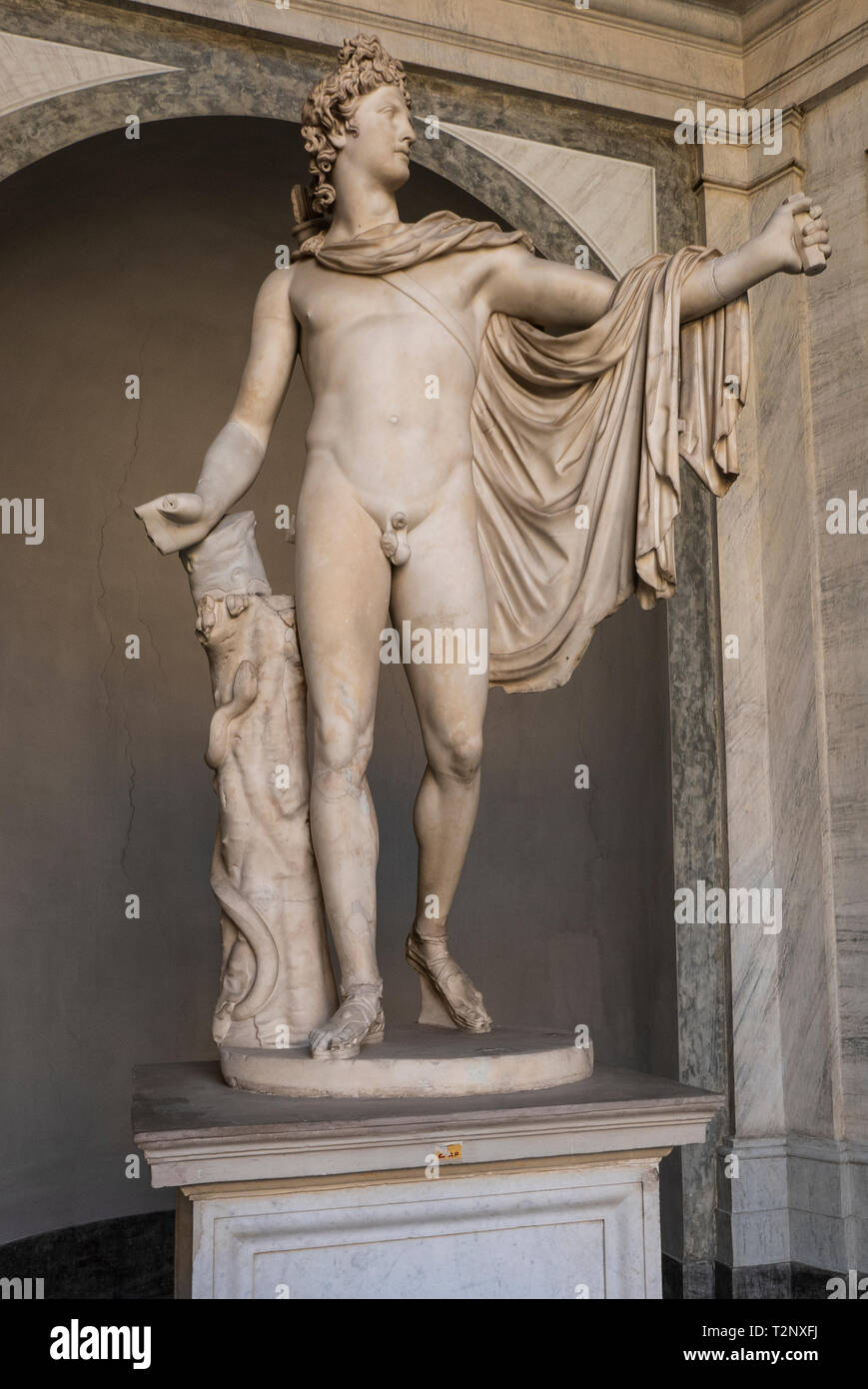 Apollo di Belvedere, a Roman marble sculpture from about 130 A:D:now in the Vatican Museums. Itself a copy of a lost Greek bronzeoriginal by Leochares Stock Photo
