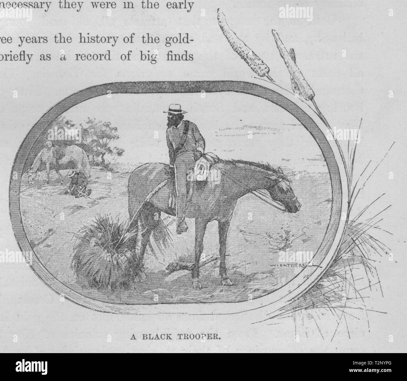 A Black Trooper. Gold. Australia 1890 antique vintage print picture Stock Photo